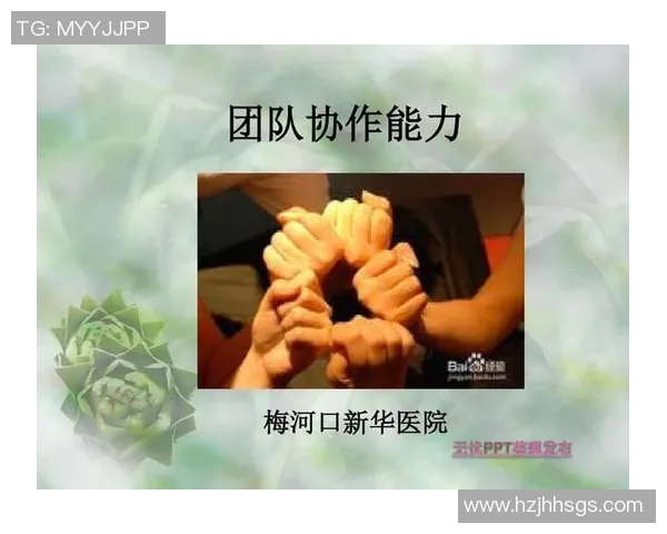 武汉排球队团队协作的成功秘诀与发展策略探讨